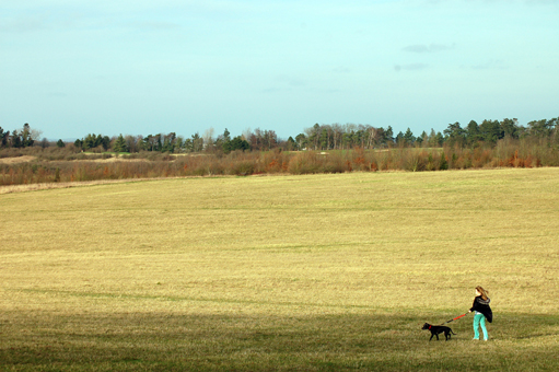 Wide open spaces